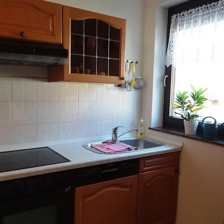 Lägenhet Ferienwohnung Am Auenwald *